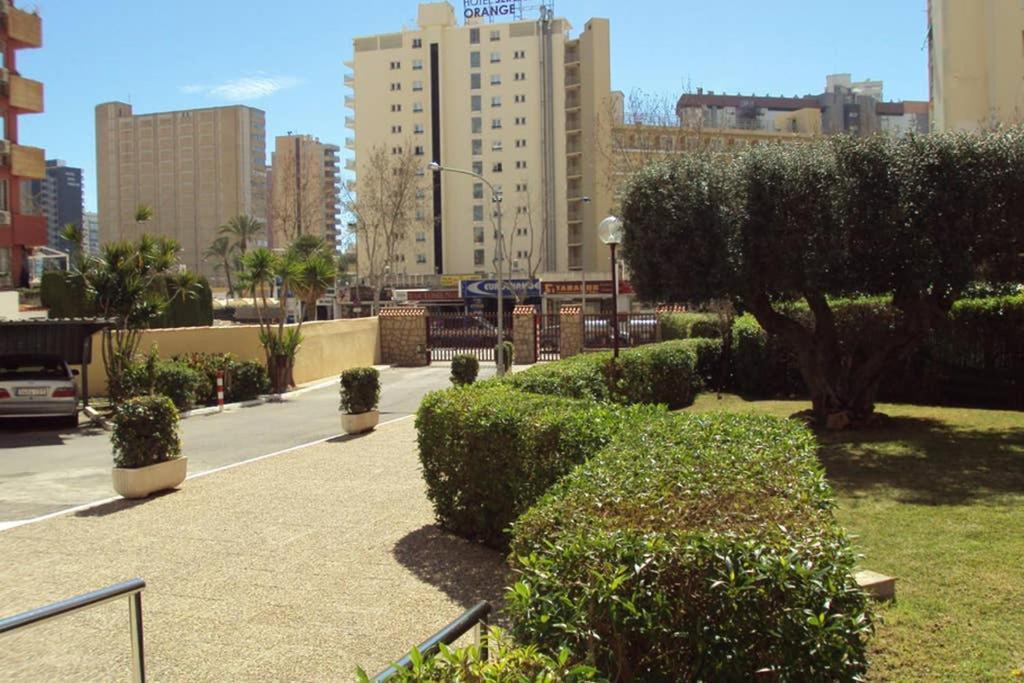 Edificio Alteanos V Lejlighed Benidorm Eksteriør billede